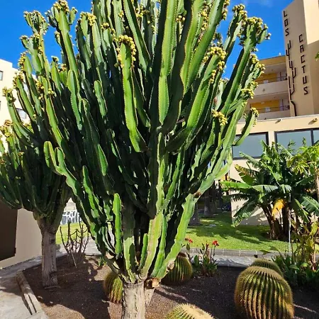 Apartmán Cactus *