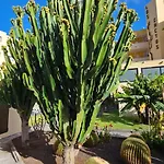 Apartmán Cactus *